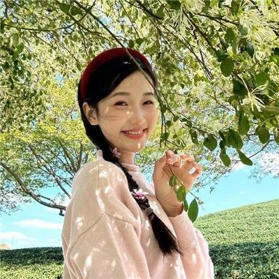 恋恋太阳花